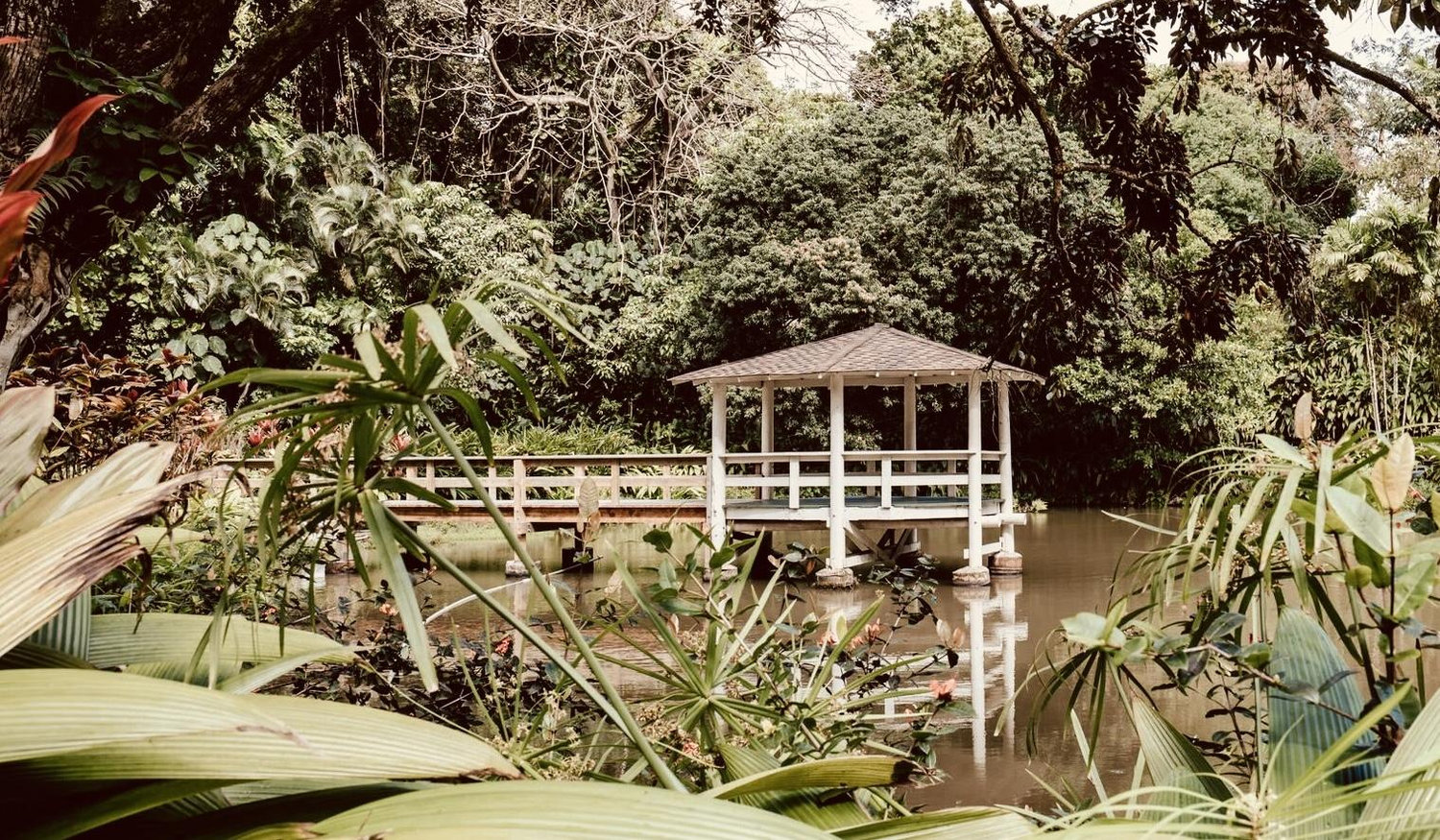 The Wedding Website of Nicolle Felice Cho and Jarrin Ching