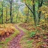 Hiking trails