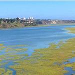 Hiking - Upper Newport Bay Nature Preserve - Easy