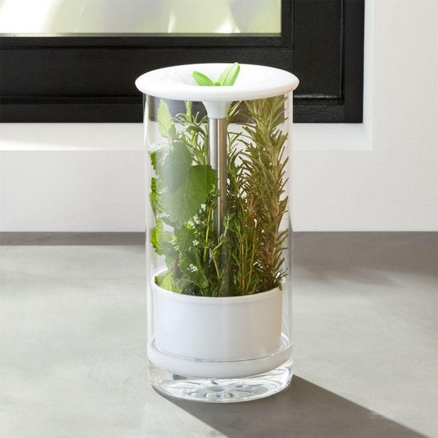 Glass Herb Keeper
