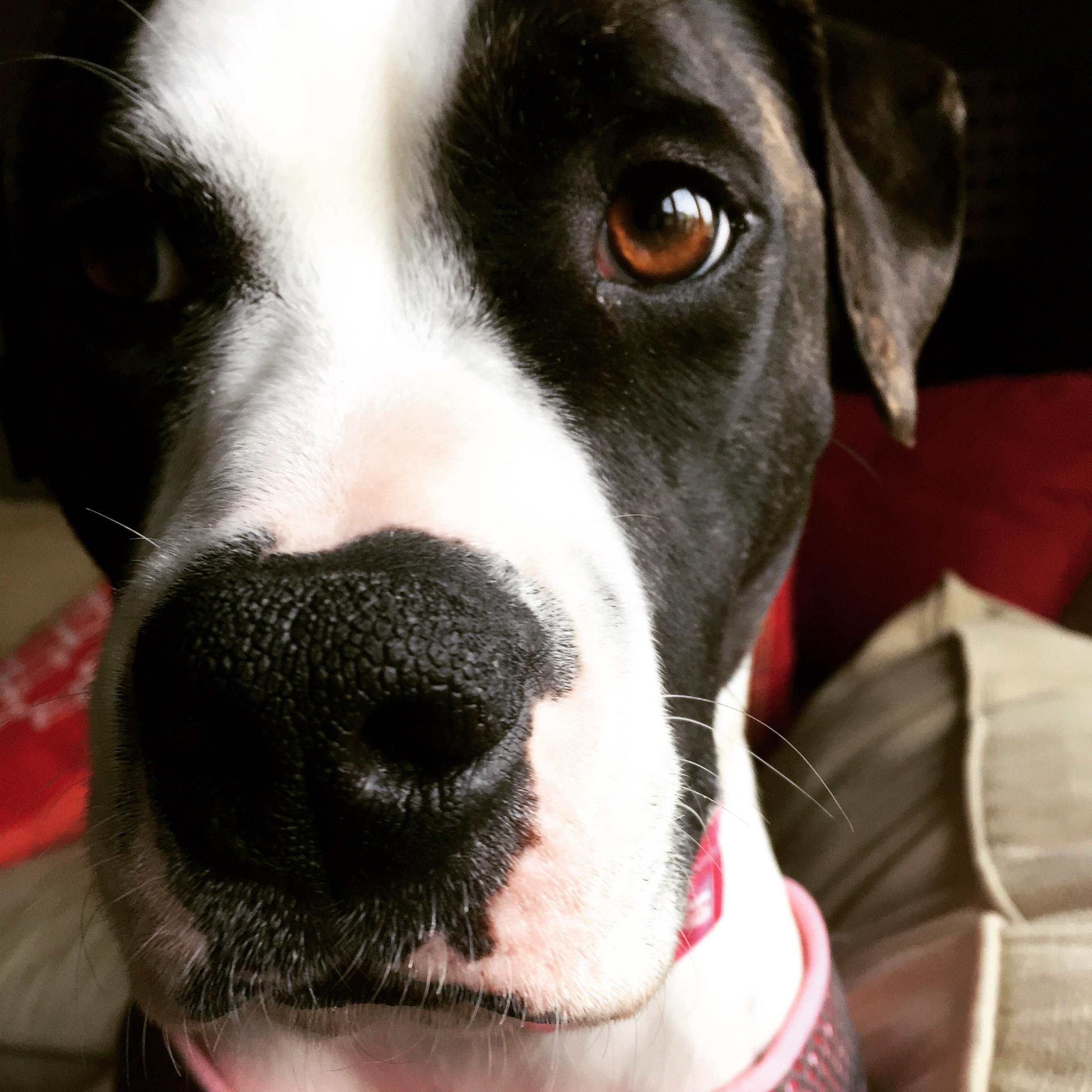 our daughter Princess Leia.