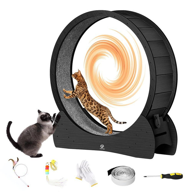 Cat Exercise Wheel for Indoor Cats - 40" Large Cats Running Wheel, Cat Treadmill
