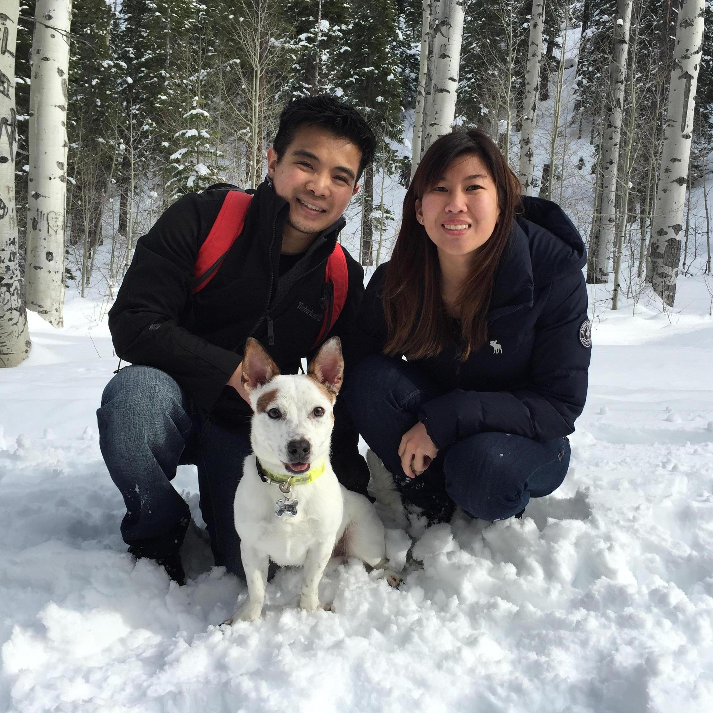 Kirk's first snow. Tahoe. (January 2016)