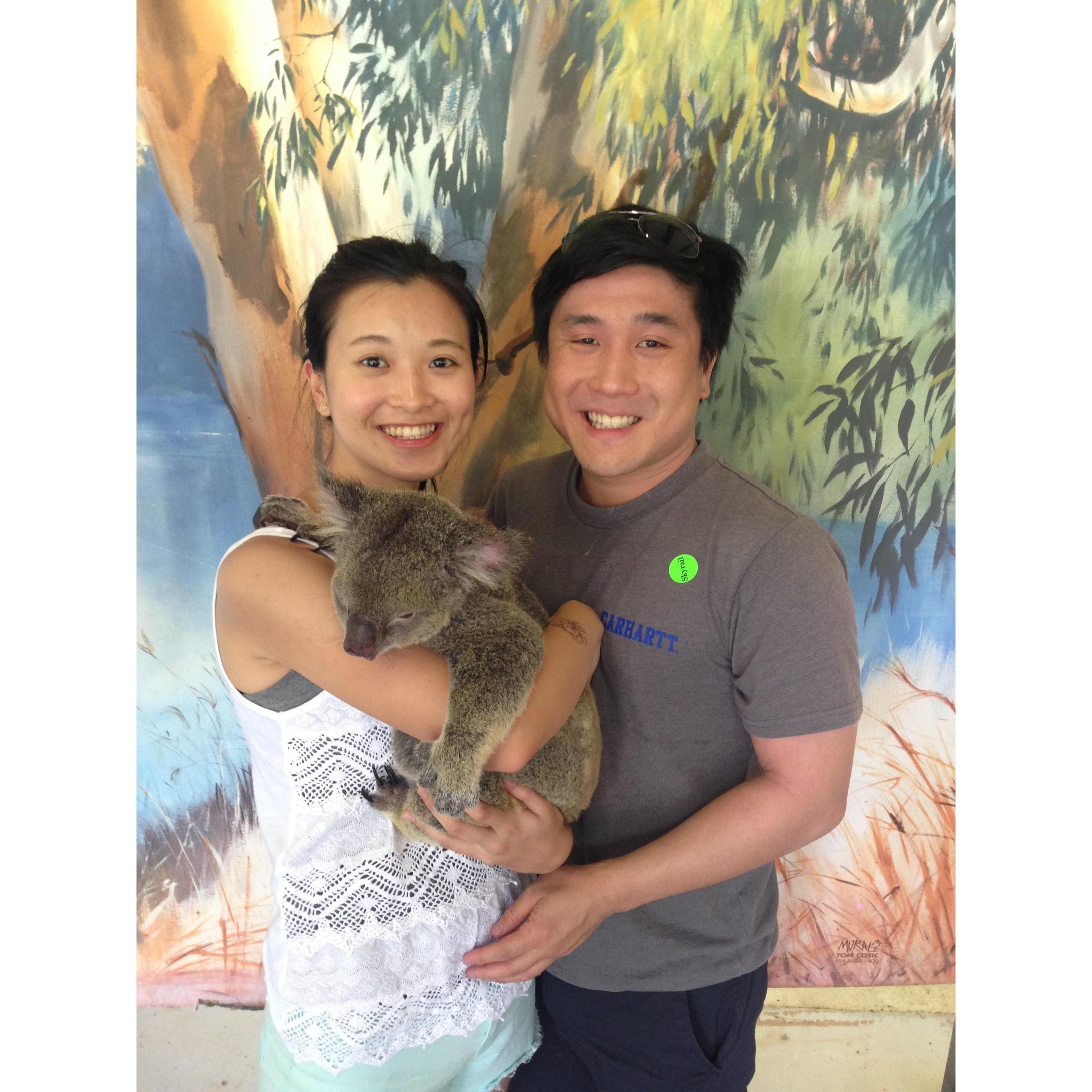 2015, Kuranda Koala Gardens