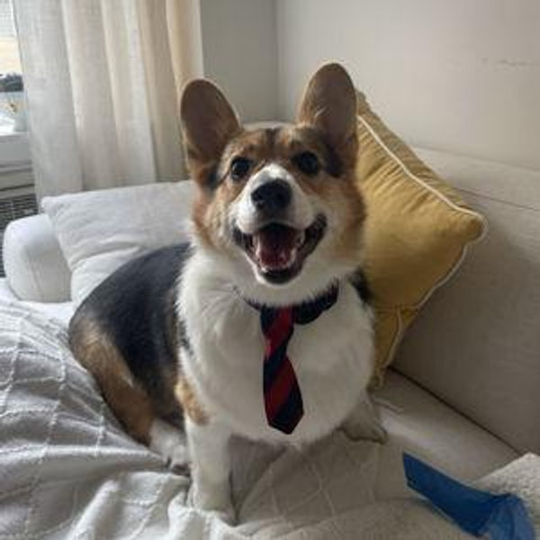 Ramon's treats and daycare