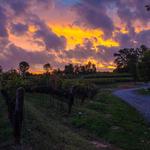 Heart & Hands Wine Company