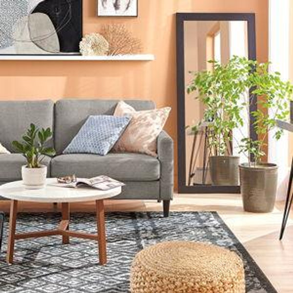 Help Furnish Our New Home