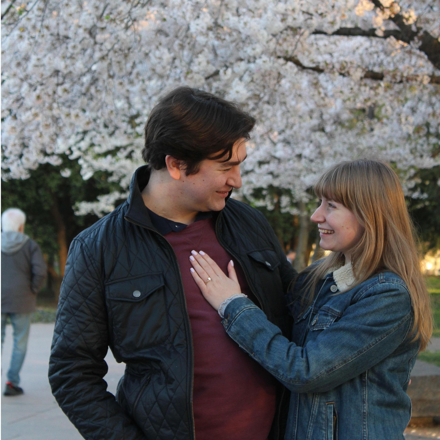 Under the cherry blossoms