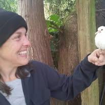 Hanging with the doves.