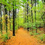 Hemlock Crossing Nature Park & Reserve