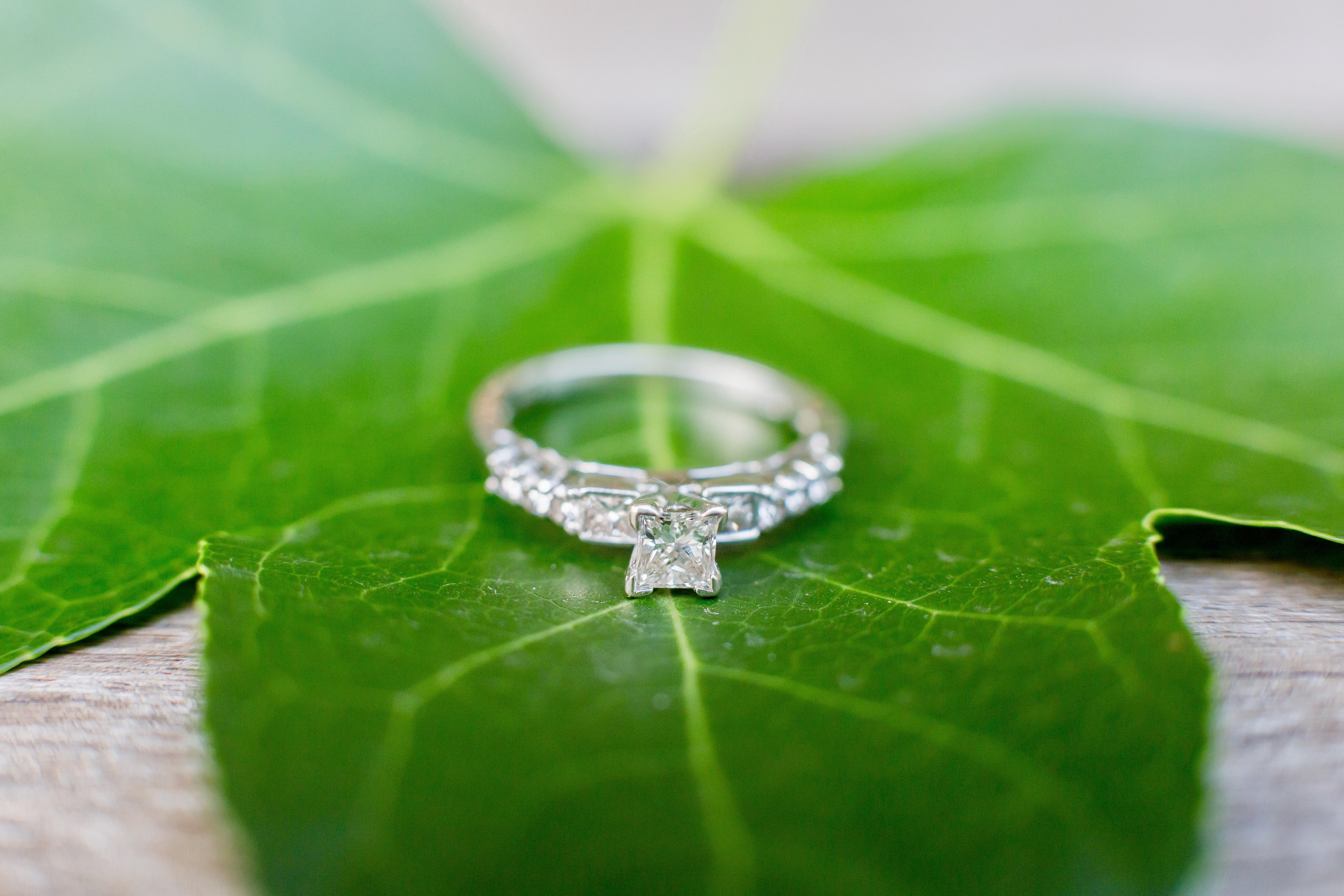 The Wedding Website of Cara Mignano and George Grudziak