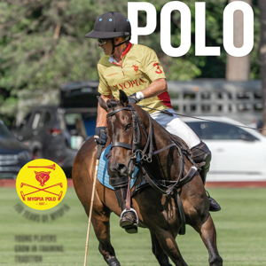Summer Sundays at Polo
