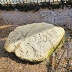 Plymouth Rock