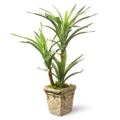 National Tree Company® 14-Inch Yucca Artificial Plant with Pot