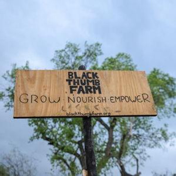 Black Thumb Farm