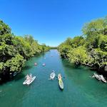 Barton Springs Municipal Pool