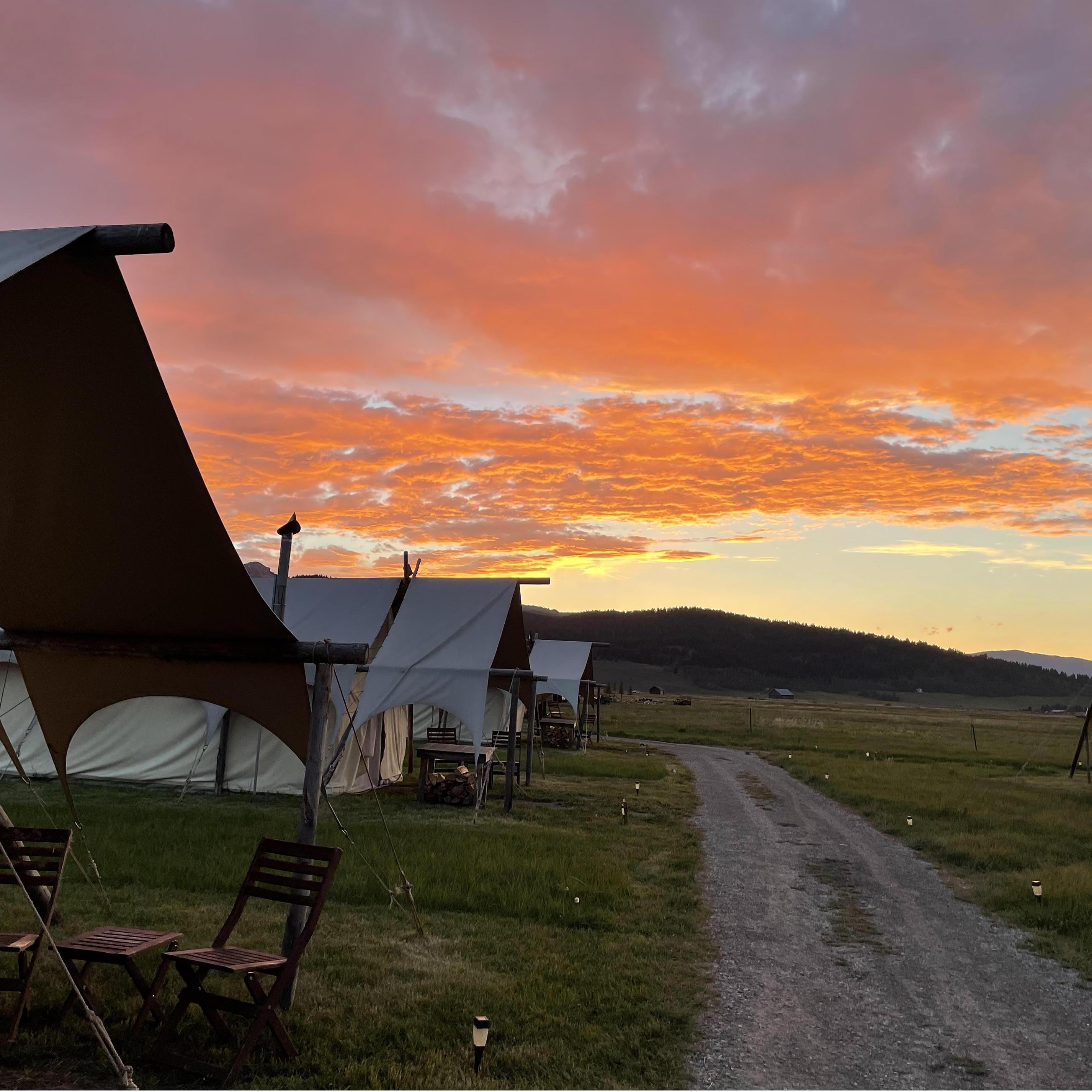 Yellowstone, June 2021