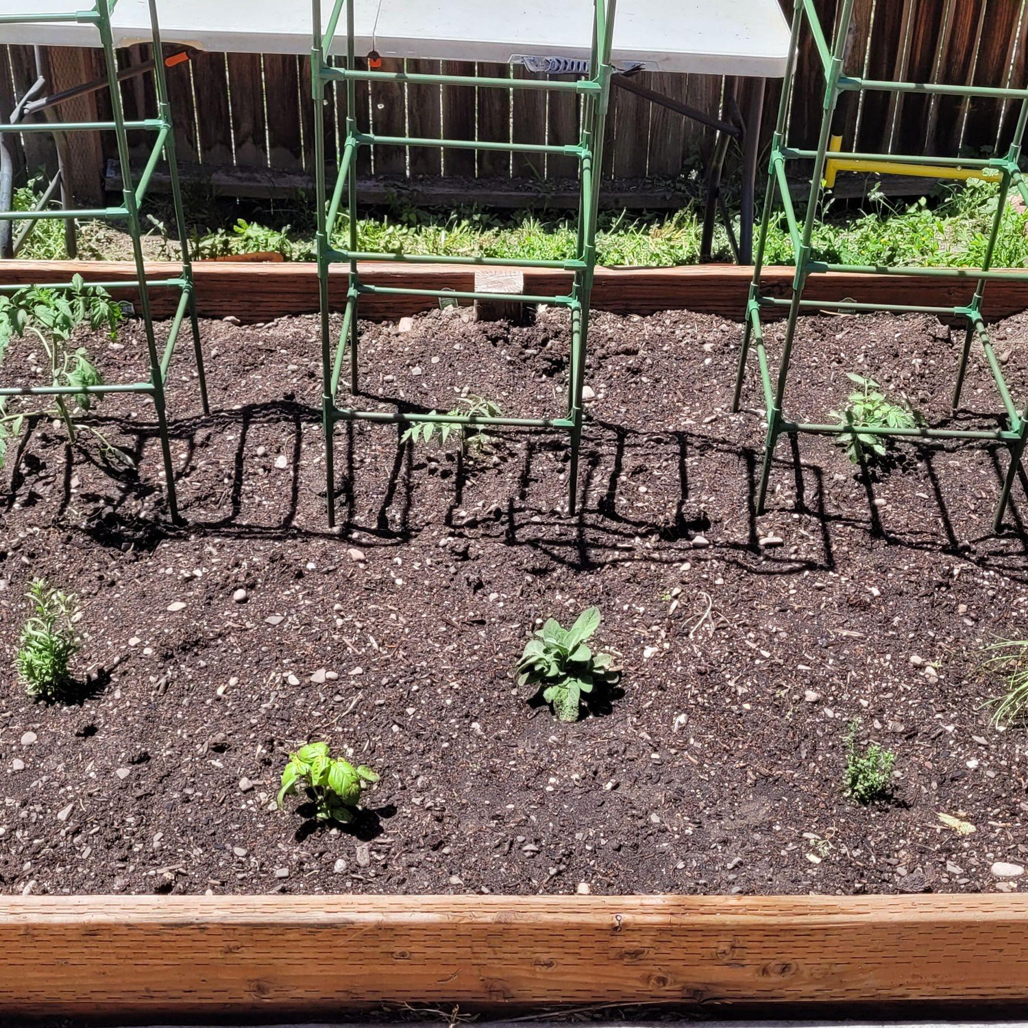 Our first garden