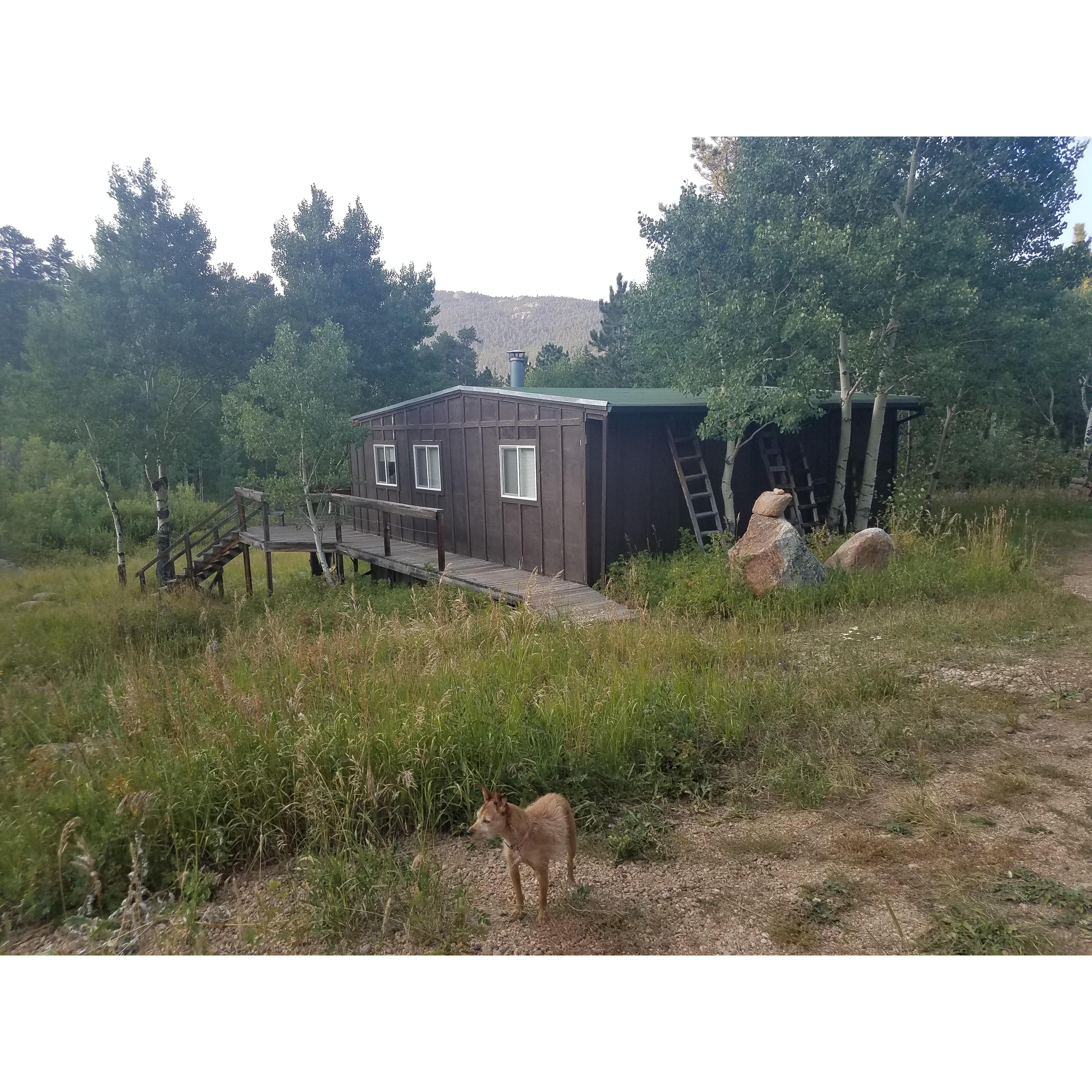 Duke cabin