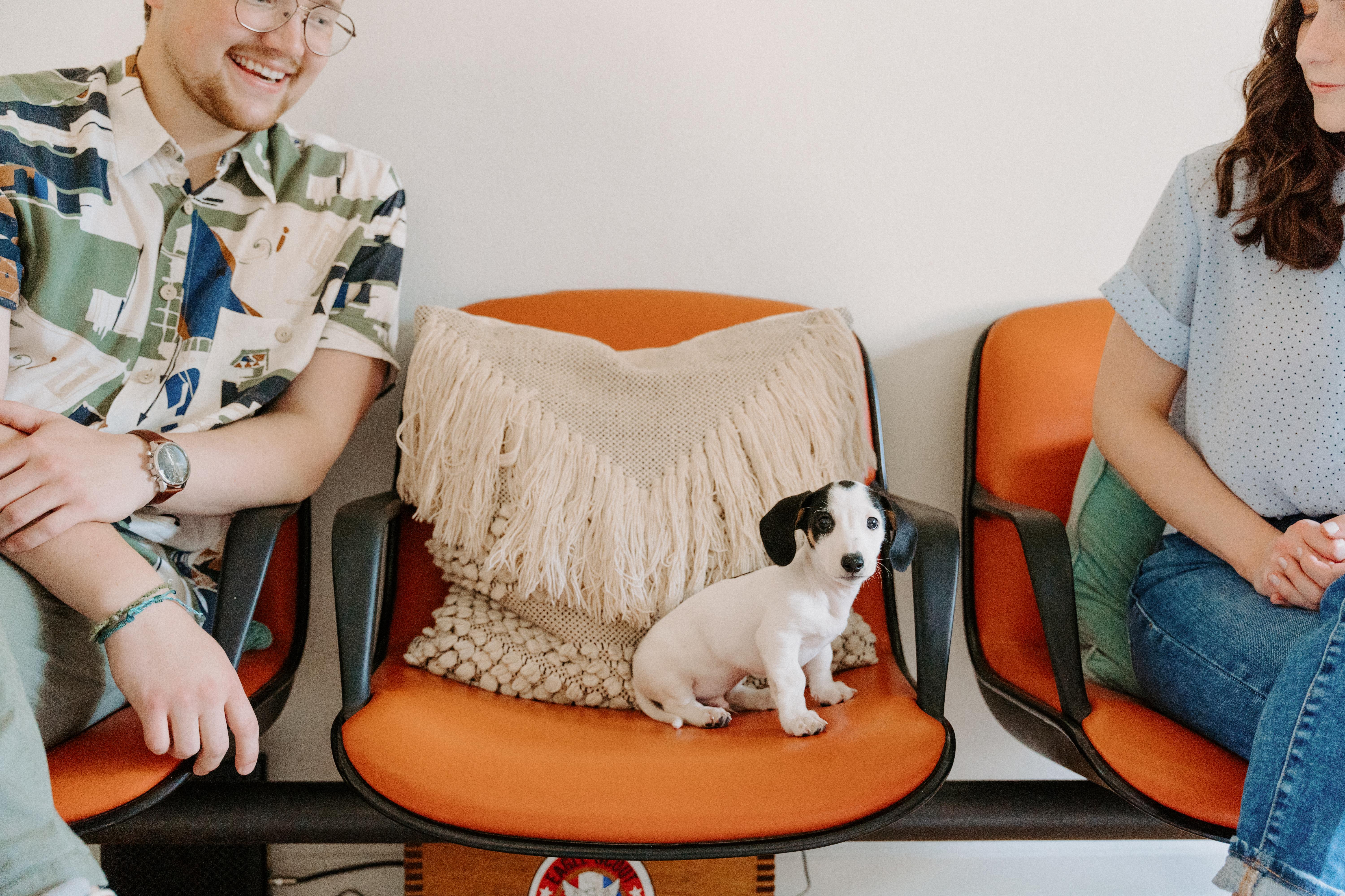 84ea46a1-b618-4770-8c60-d000822c3d0e