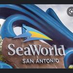SeaWorld San Antonio