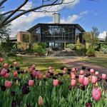 Cape Fear Botanical Garden
