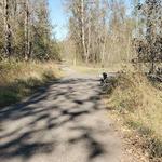 Thousand Acres Dog Park (Apollo's recommendation)