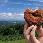 Carter Mountain Orchard and Country Store