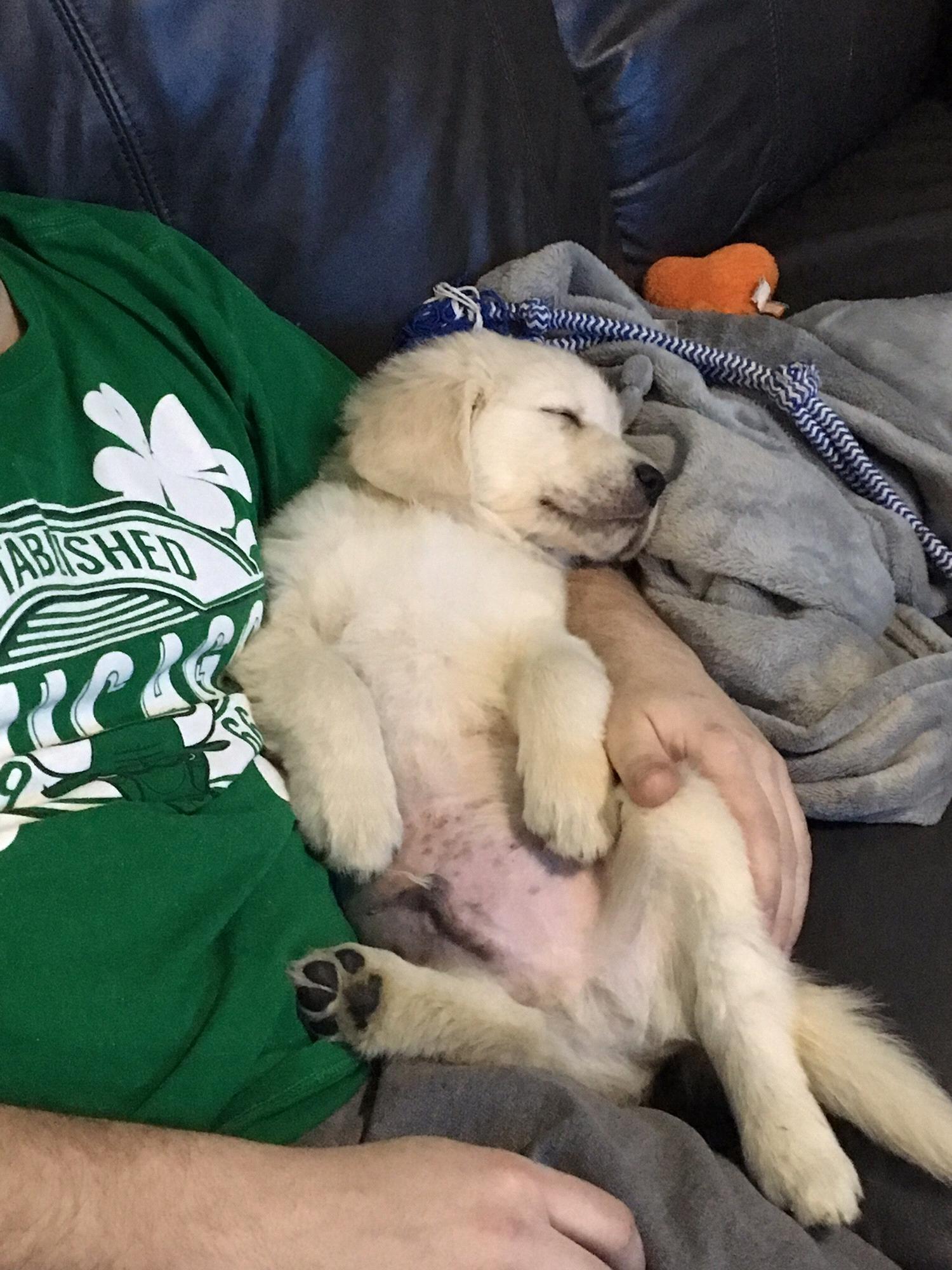 Bear’s first night home - February 2017