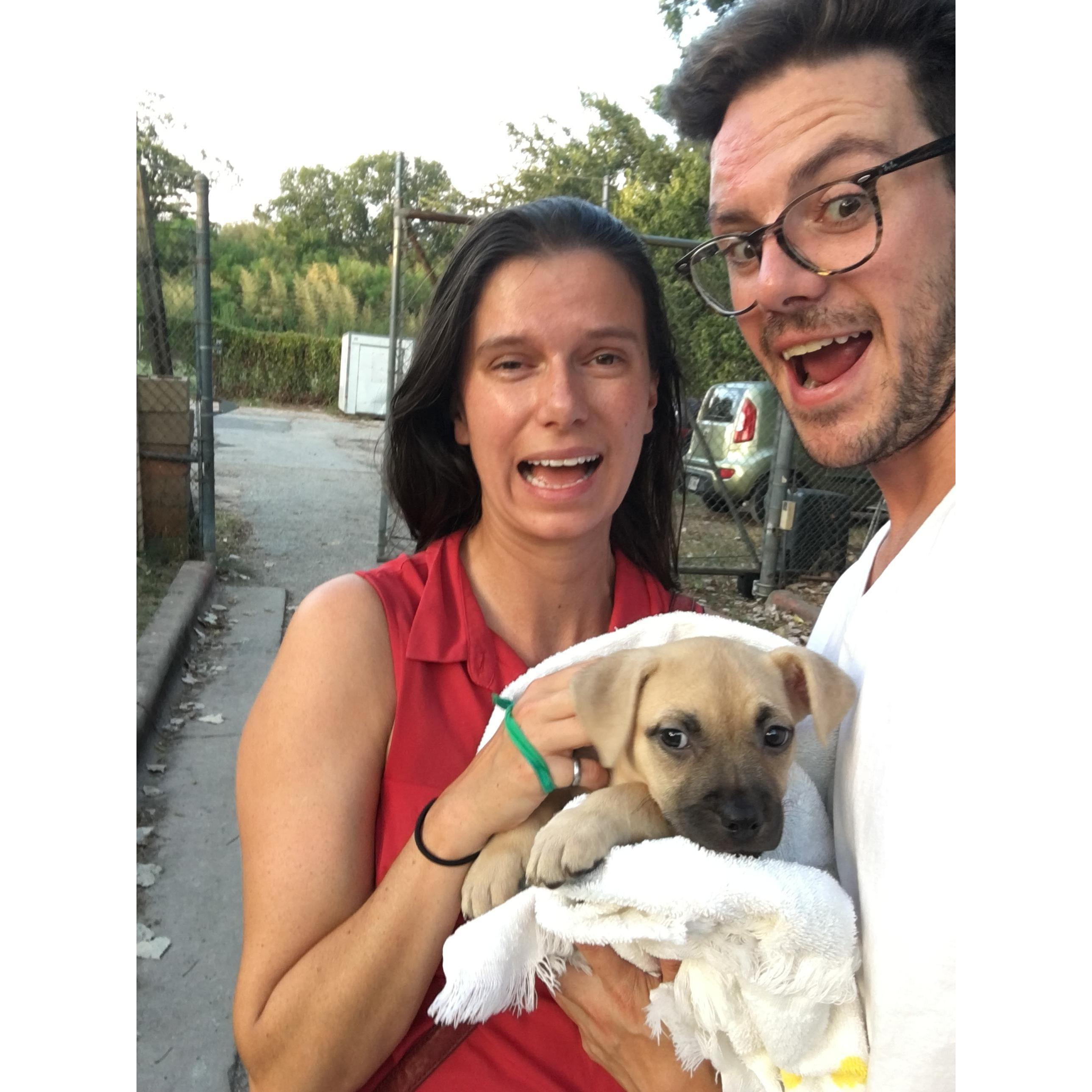 One night we decided to get burgers for dinner, but took a detour to the pound and came home with Biscuit instead! Thanks Austin Pets Alive!