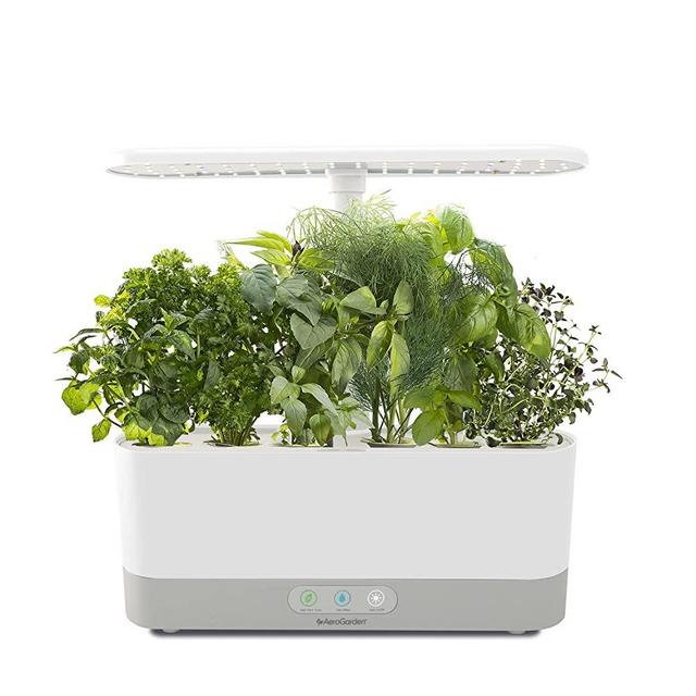AeroGarden 901121-1200 Harvest Slim with Gourmet Herb Seed Pod Kit-Hydroponic Indoor Garden, White