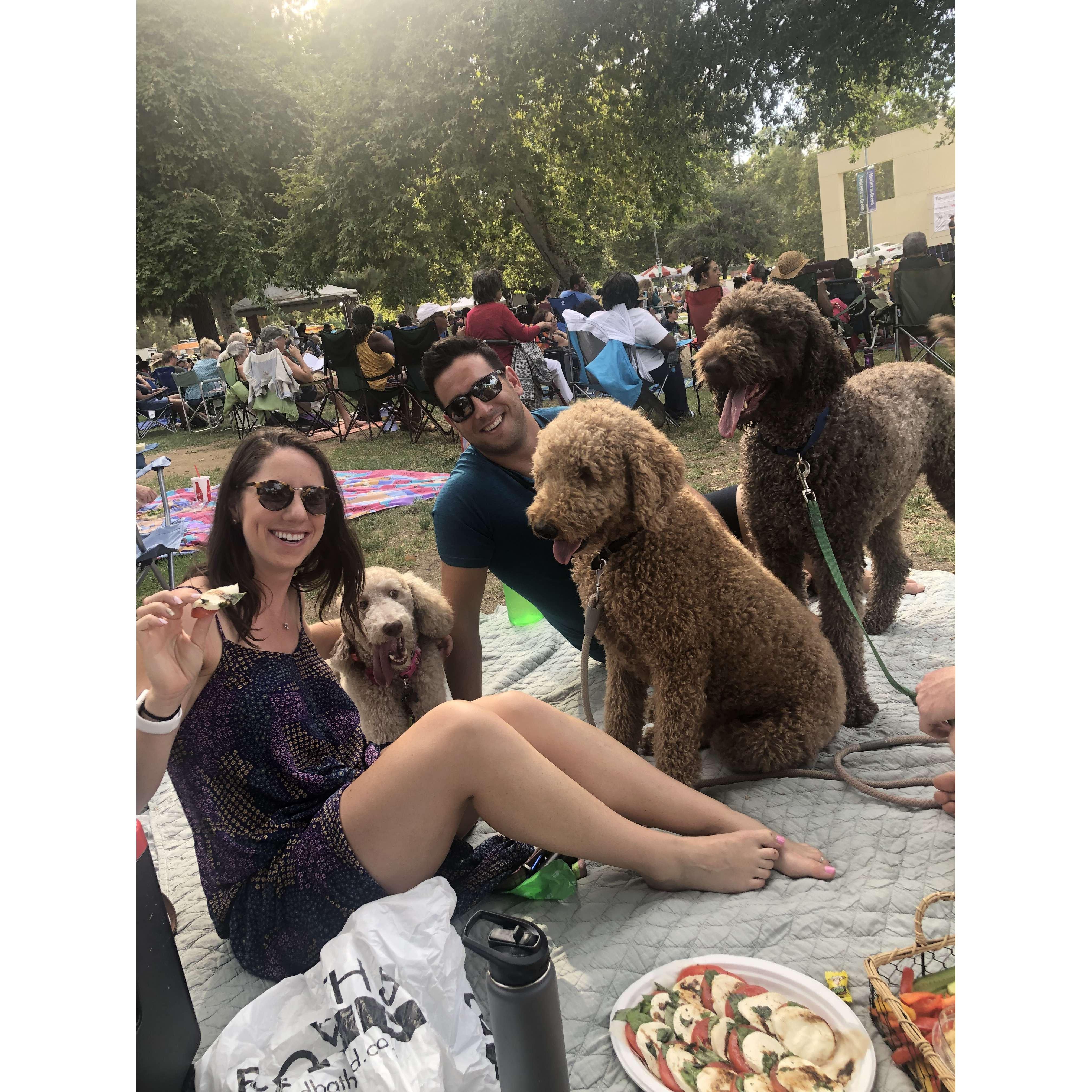 We love dogs!