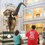 Smithsonian National Museum of Natural History