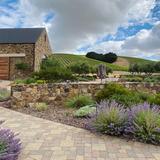 Niner Wine Estates