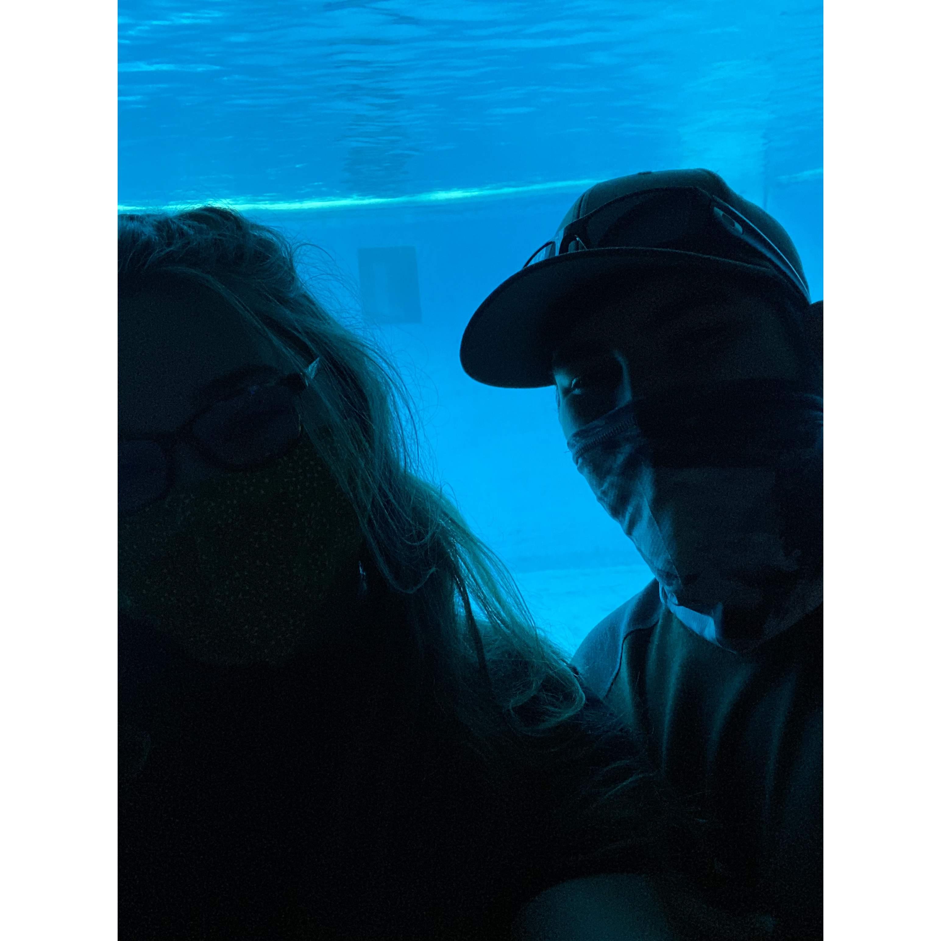 The National Aquarium in Baltimore, Maryland 2021