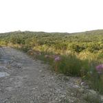 Friedrich Wilderness Park