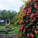 Zilker Botanical Garden