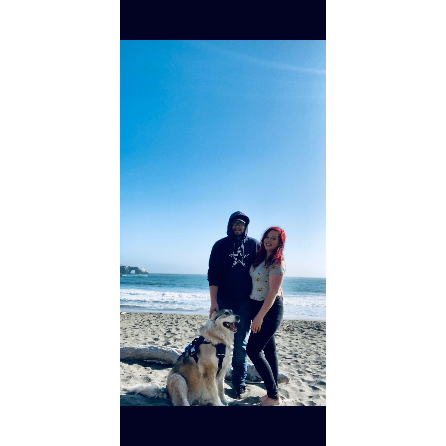 Our first dog together.