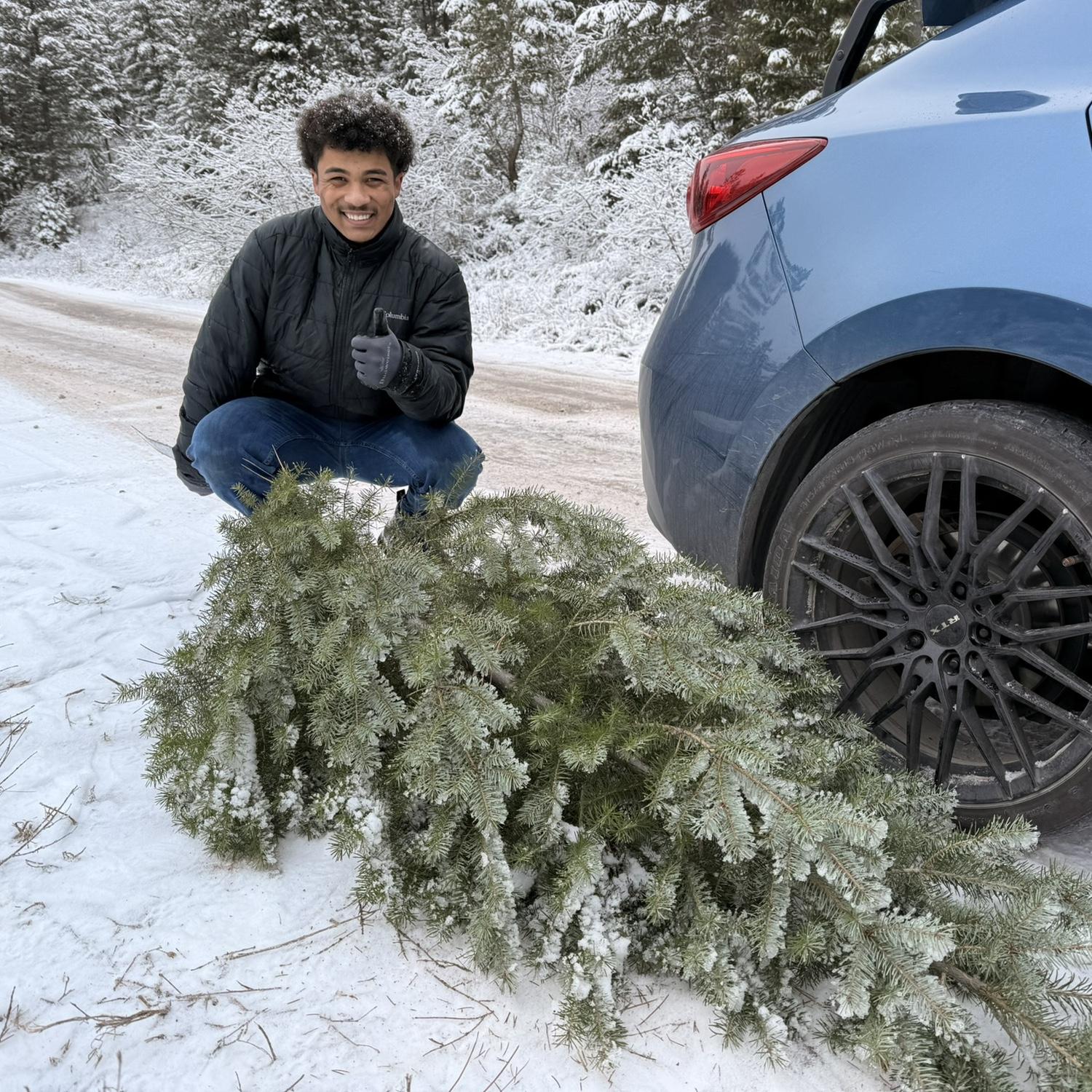 Christmas tree hunting