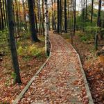 Schmeeckle Reserve