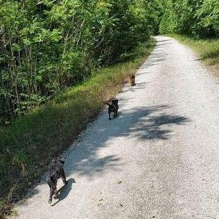 Best trail buddies.