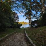 Take a Nature Walk