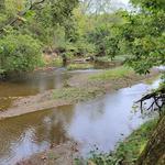 McCloud Nature Park