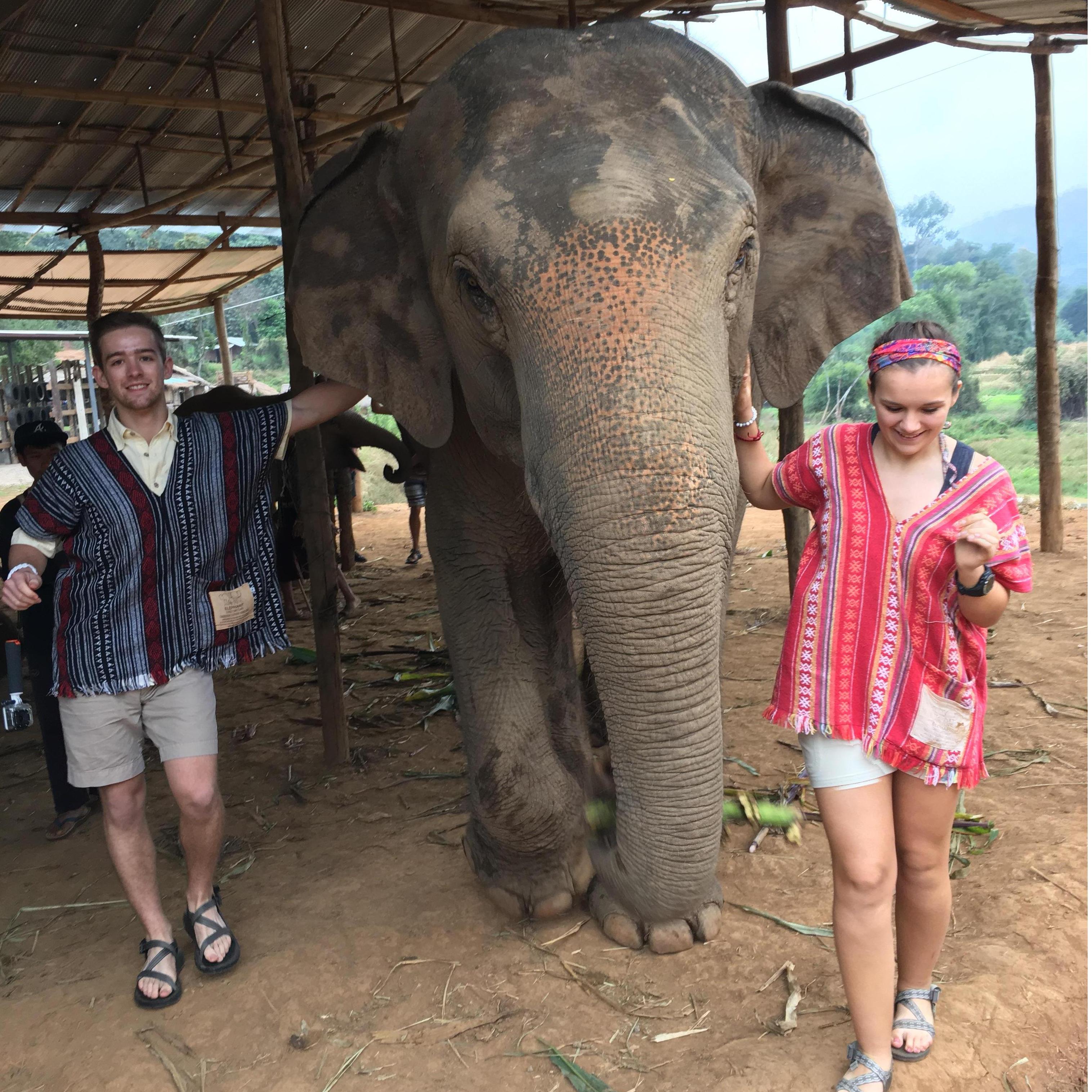 Kristin's favorite experience in Thailand was feeding and playing in the water with these giant but gentle animals