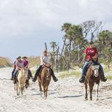 Happy Trails Walking Horses