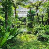 Garfield Park Conservatory
