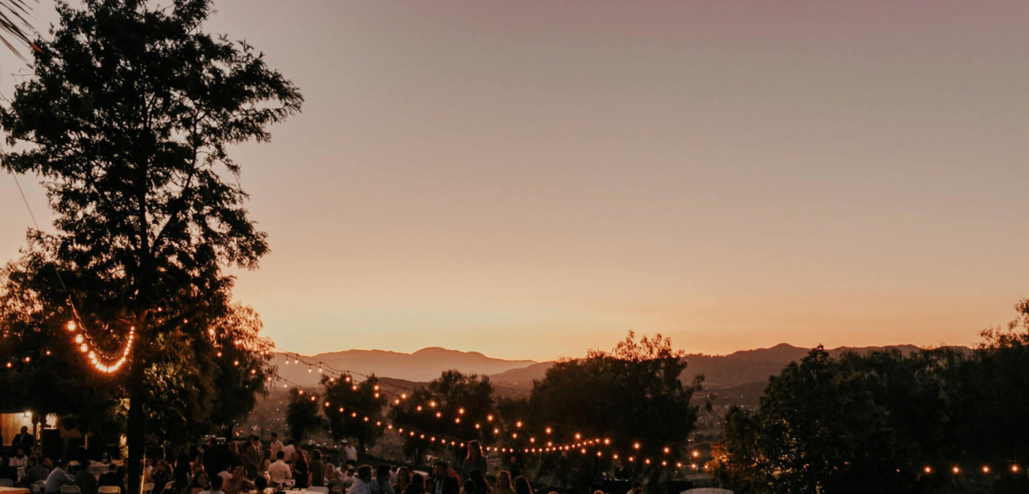 The Wedding Website of Demarcus Bussell and Brooke Nauert