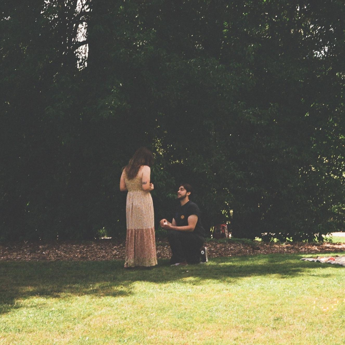 The proposal