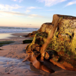Windansea Beach