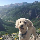 Bridal Veil Trail